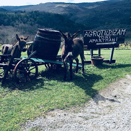 Appartamento Agroturizam Toni Motovun Esterno foto